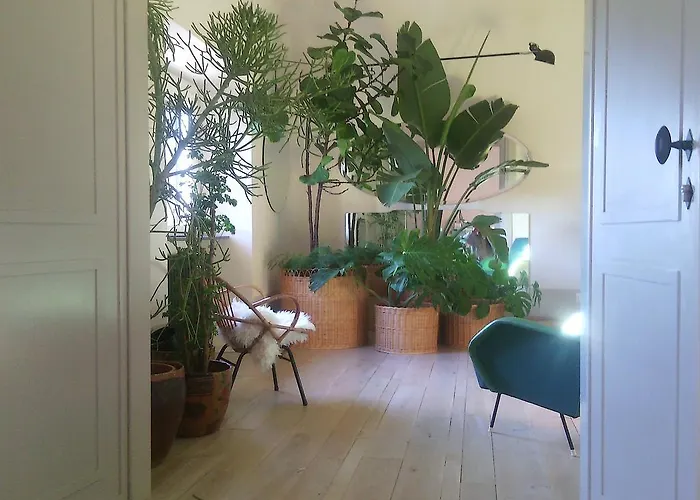 Casa Cavalcanti Nocleg ze śniadaniem *